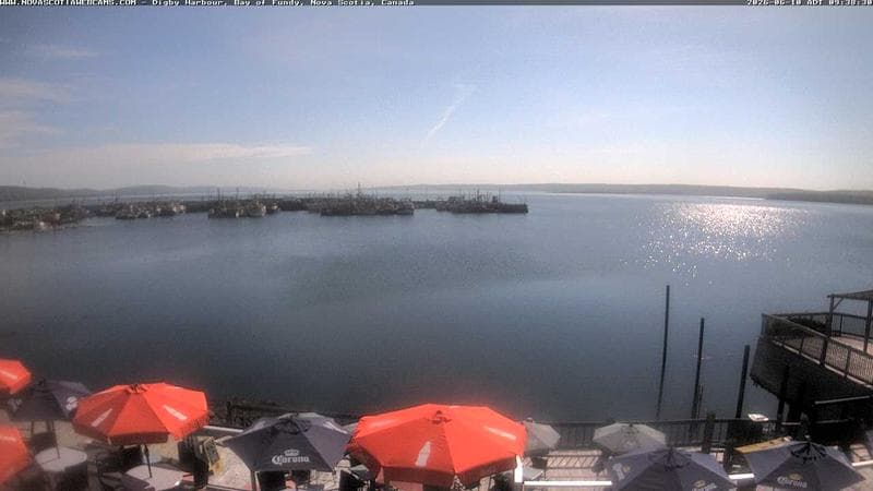 Digby Harbour