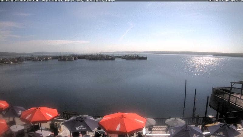 Digby Harbour