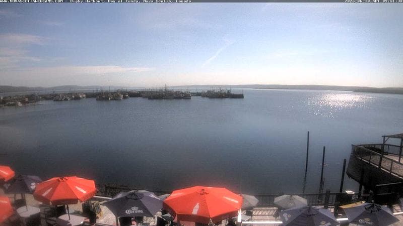 Digby Harbour