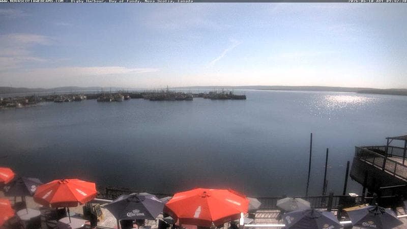 Digby Harbour