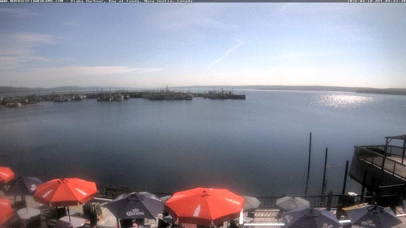 Digby Harbour