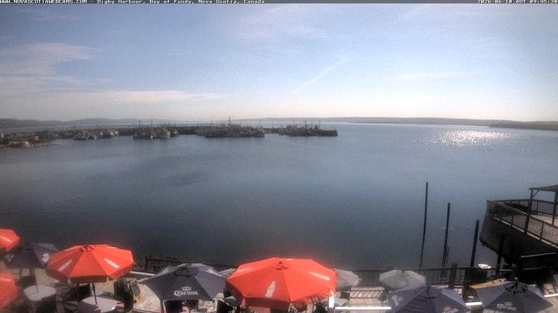 Digby Harbour