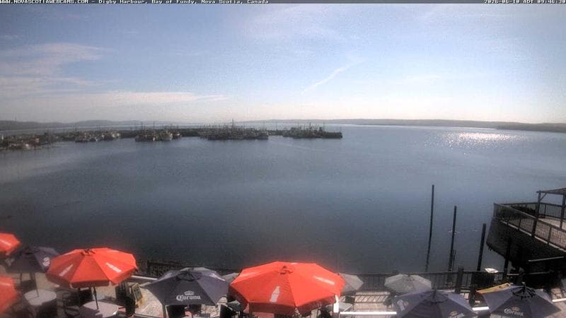 Digby Harbour