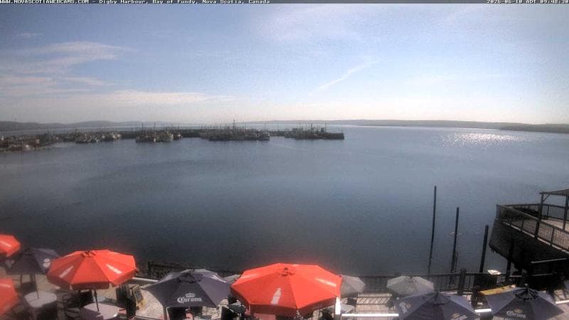Digby Harbour