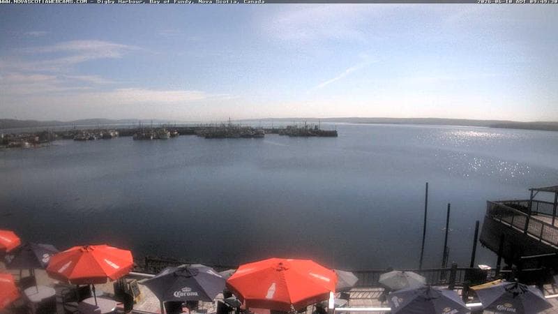 Digby Harbour