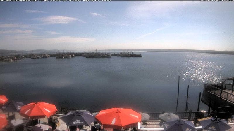 Digby Harbour