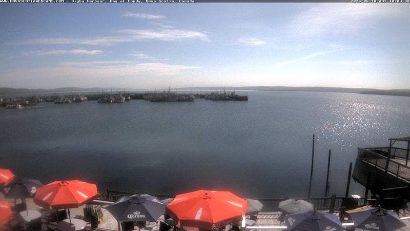 Digby Harbour