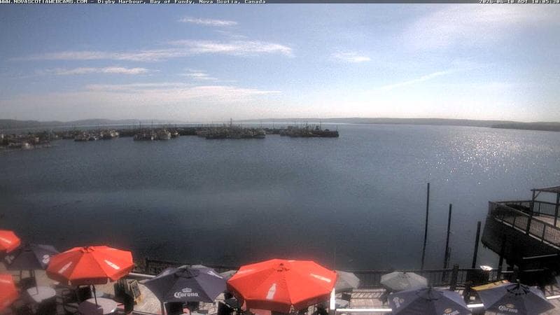 Digby Harbour