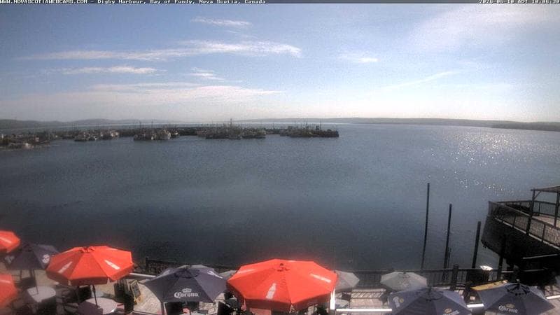 Digby Harbour
