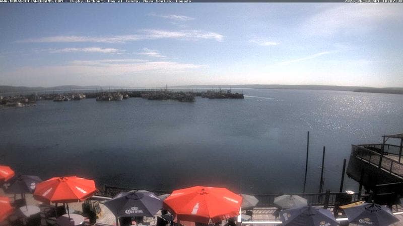 Digby Harbour