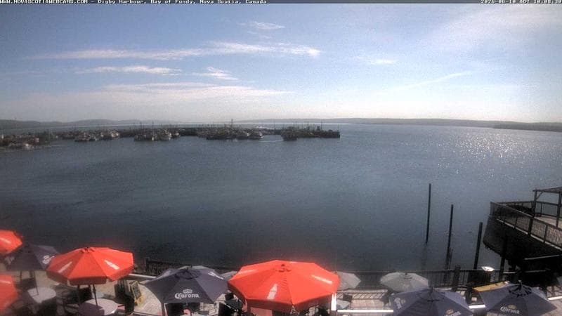 Digby Harbour