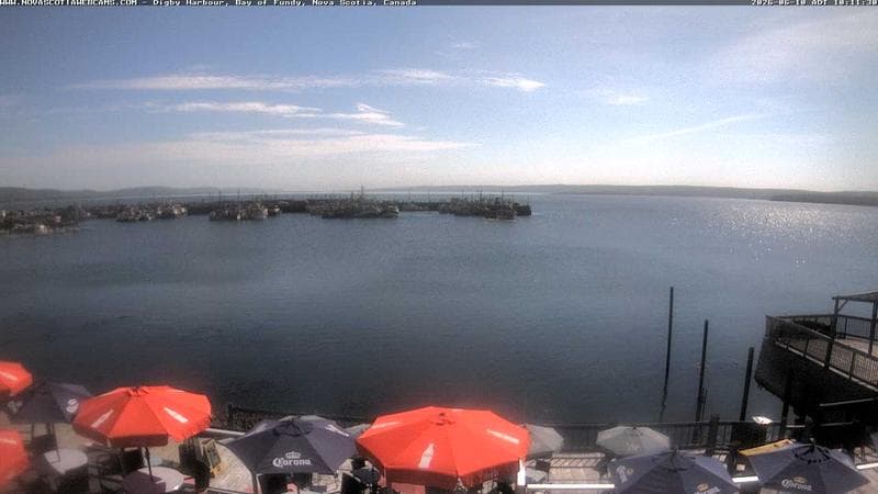 Digby Harbour