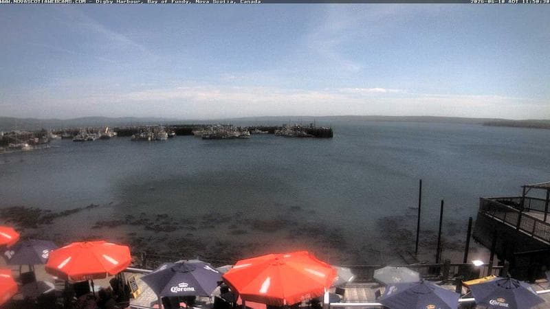 Digby Harbour