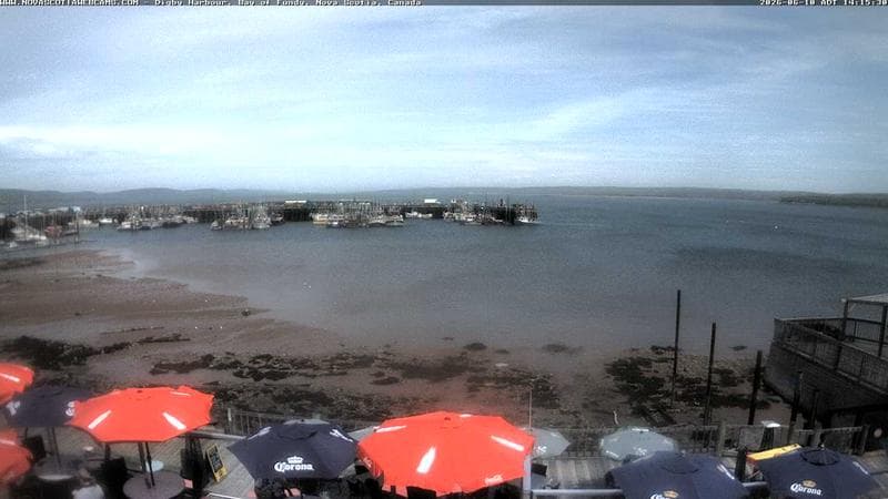 Digby Harbour