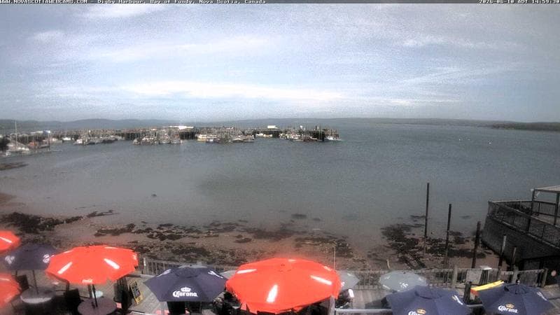 Digby Harbour