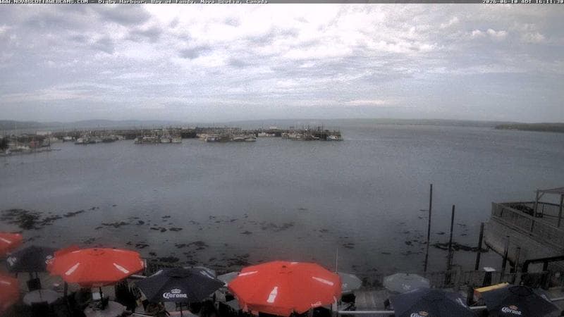 Digby Harbour