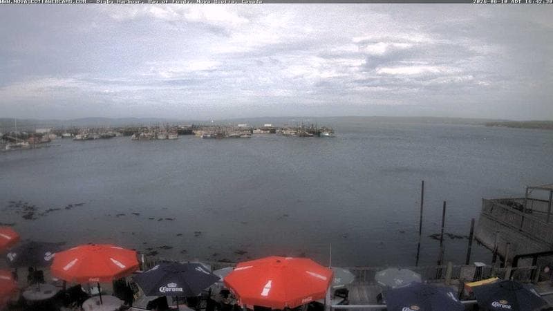 Digby Harbour