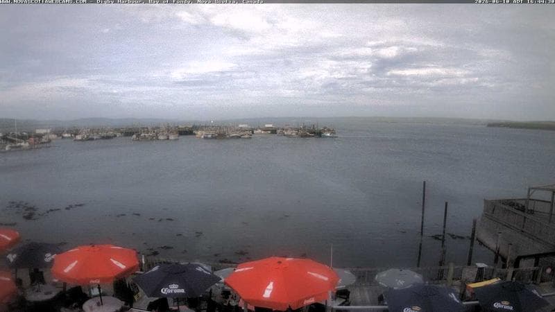 Digby Harbour