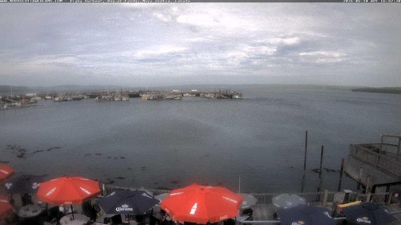 Digby Harbour