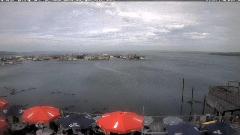 Digby Harbour