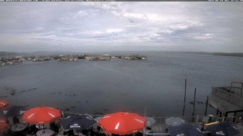 Digby Harbour