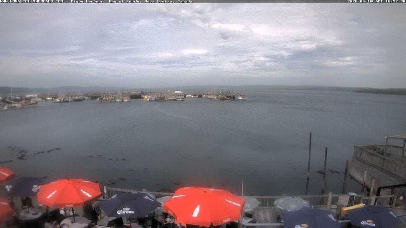 Digby Harbour