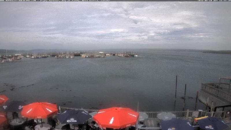 Digby Harbour