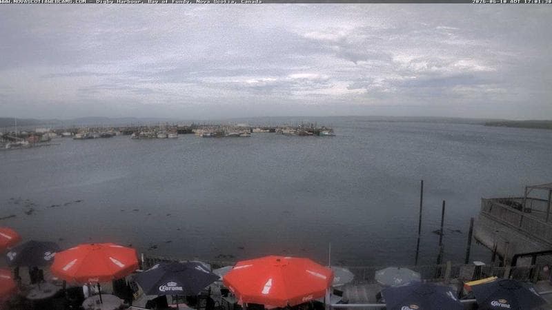 Digby Harbour