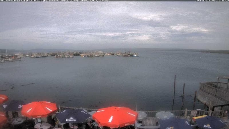 Digby Harbour