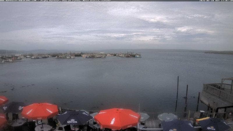 Digby Harbour