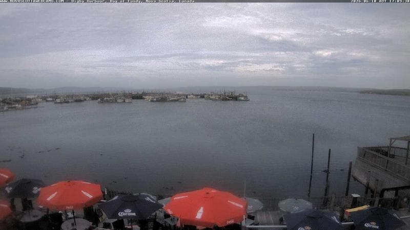 Digby Harbour