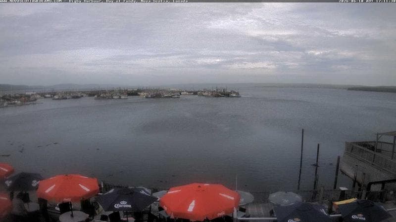 Digby Harbour