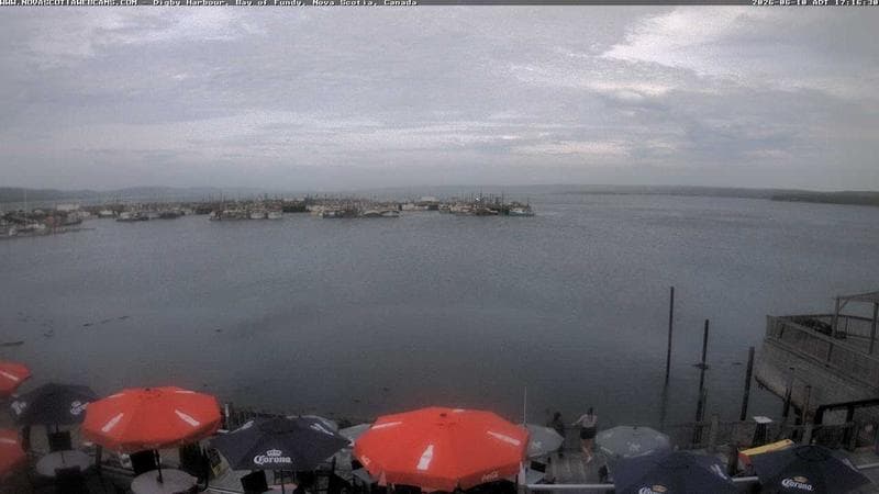 Digby Harbour