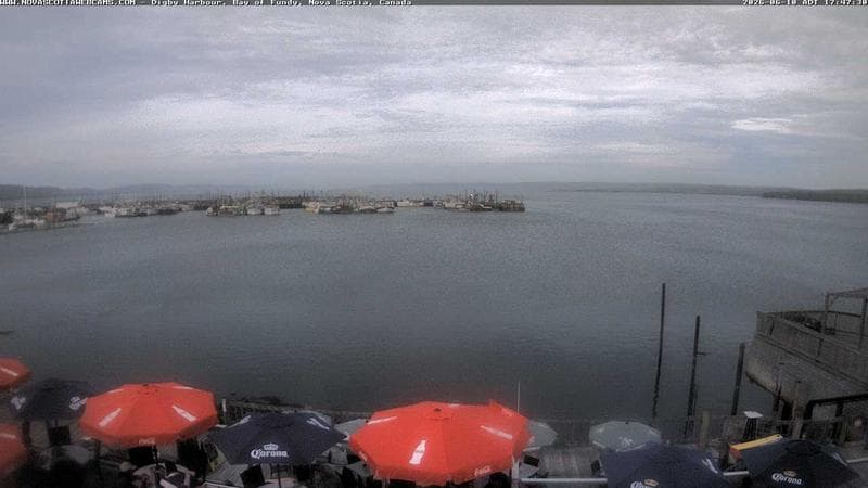Digby Harbour