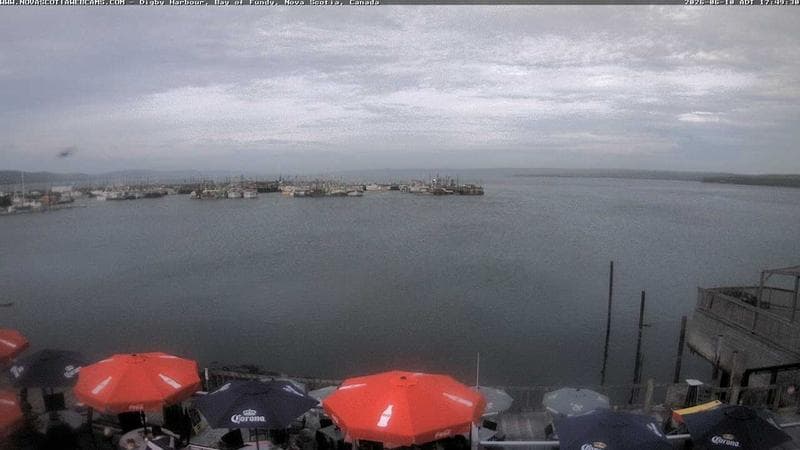 Digby Harbour