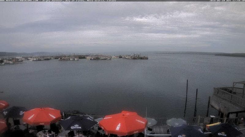Digby Harbour