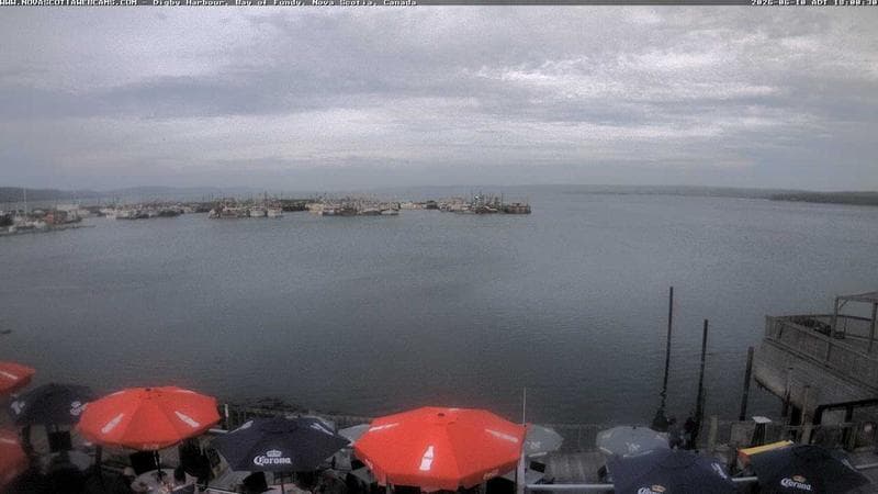 Digby Harbour
