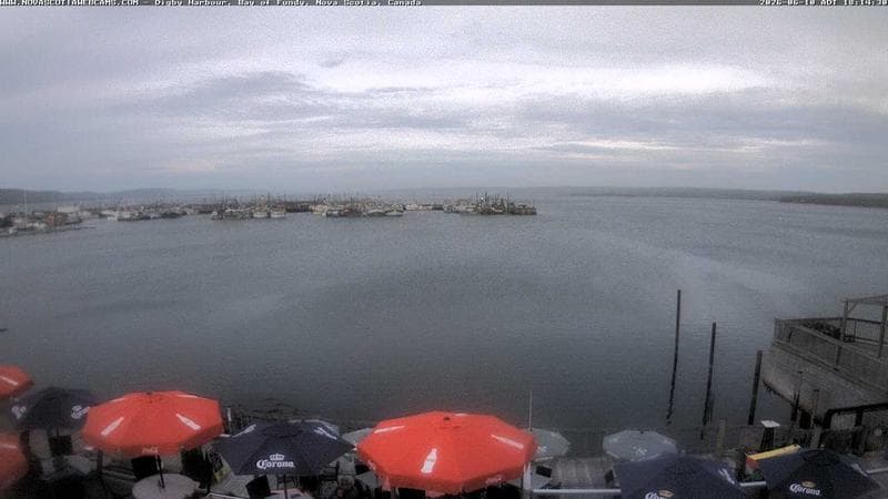 Digby Harbour