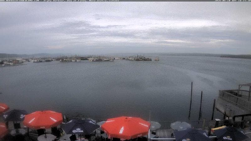 Digby Harbour