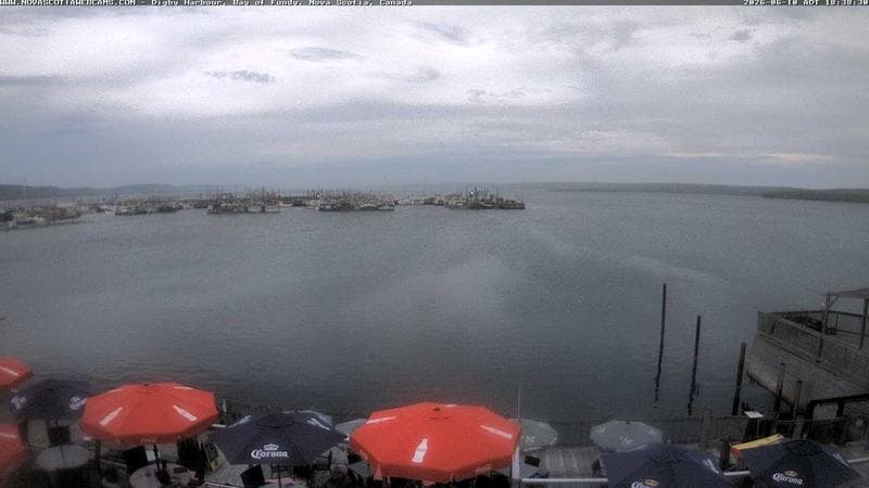 Digby Harbour