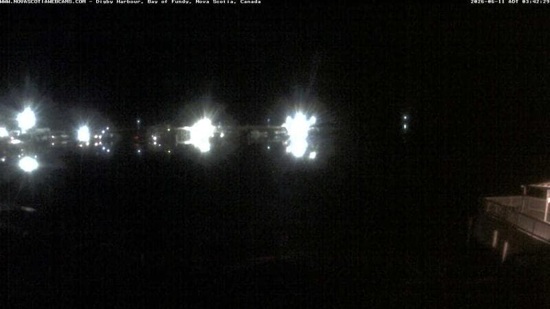 Digby Harbour