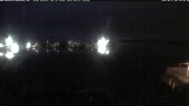 Digby Harbour