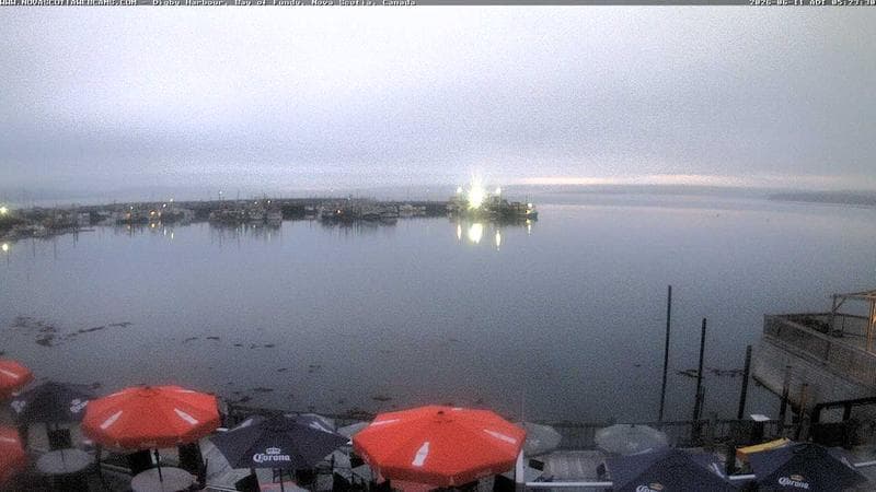 Digby Harbour