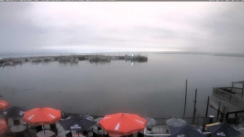 Digby Harbour