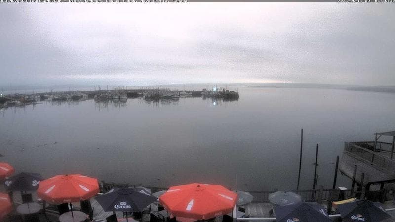 Digby Harbour