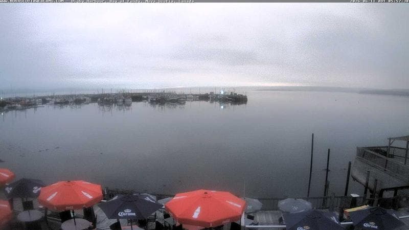 Digby Harbour