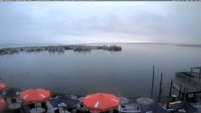 Digby Harbour