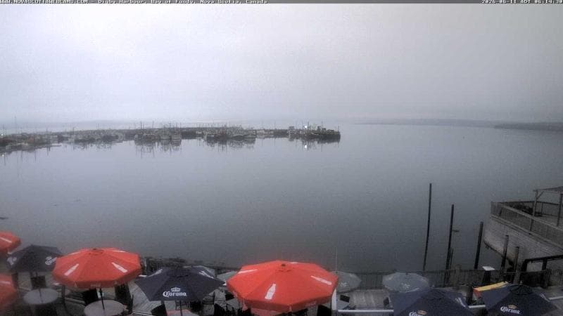 Digby Harbour