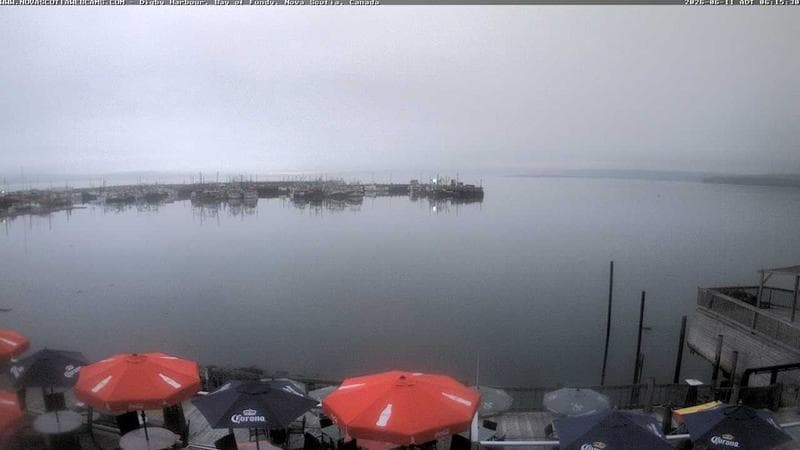 Digby Harbour