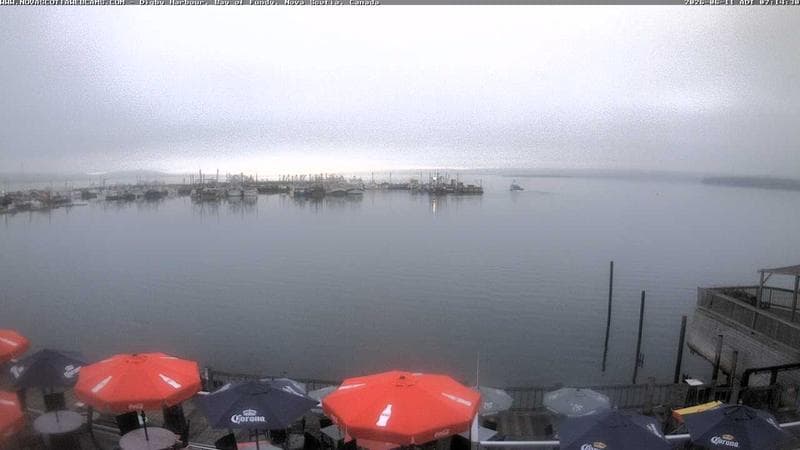 Digby Harbour
